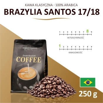 Kawa Brazylia Santos 17/18 Ziarnista 250g